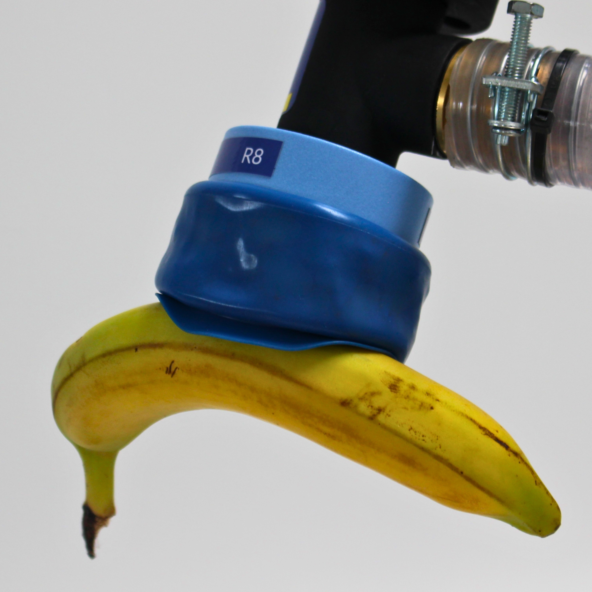 FH-R8 FDA greift Banane