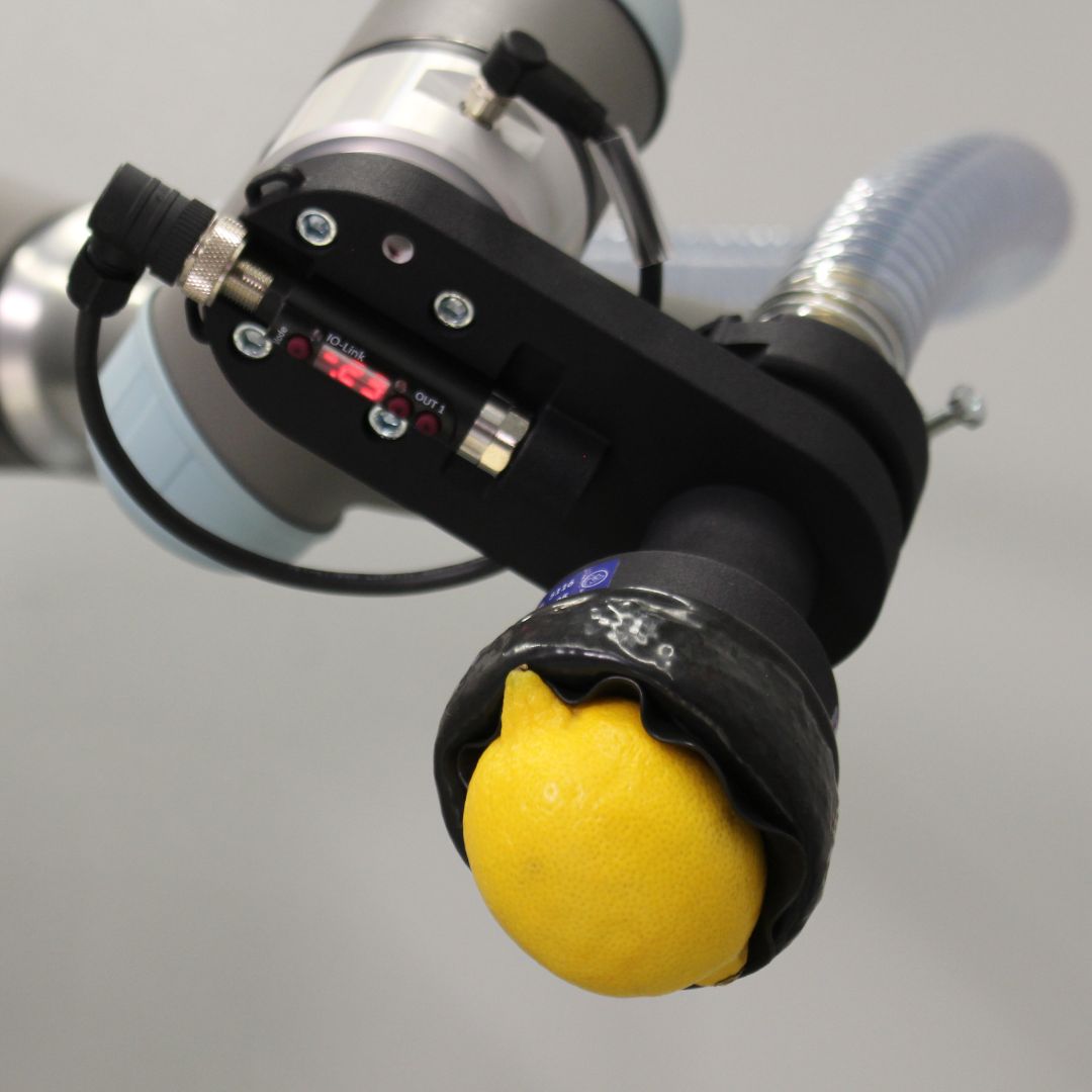 FH-R8 greift Zitrone